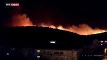 Balıkesir Ayvalık'ta orman yangını: Bazı evler boşaltıldı