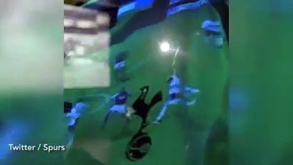 Gareth Bale reveals what he can add to Tottenham squad on return to 'special club'