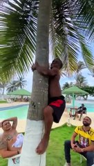 Será que lo logra  Rabo Carnero❌Negro anuel❌Adrian Cervante❌Petronita❌PAPI WAILO TV