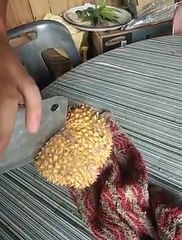 Zonk Durians Fruit