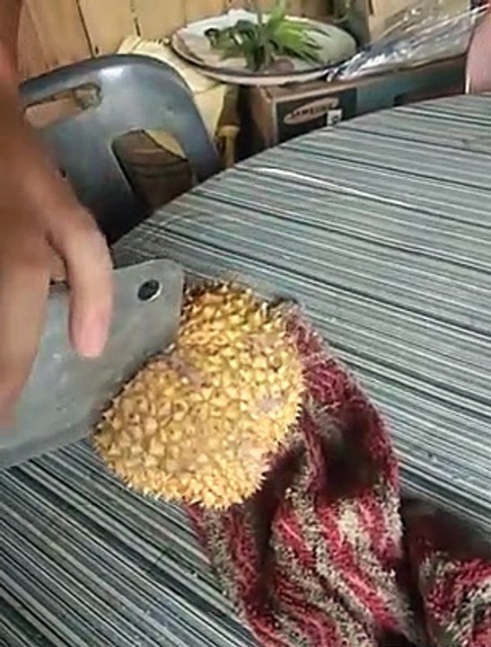 Zonk Durians Fruit