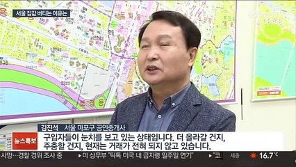 거래 줄었는데 떨어지지 않는 서울 집값…이유는