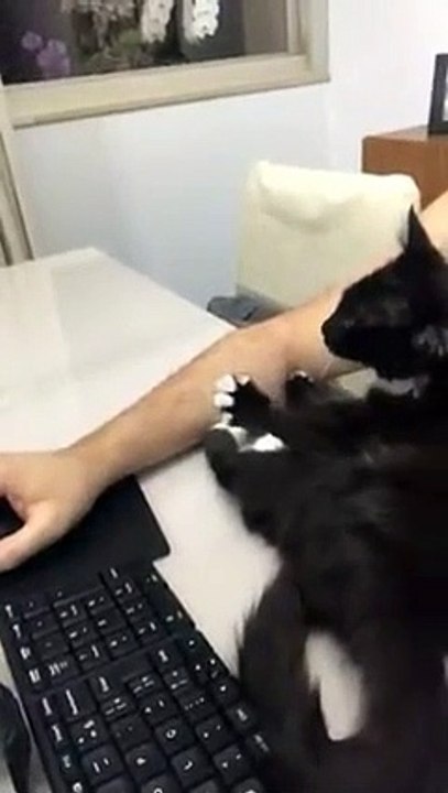 Que fofura!