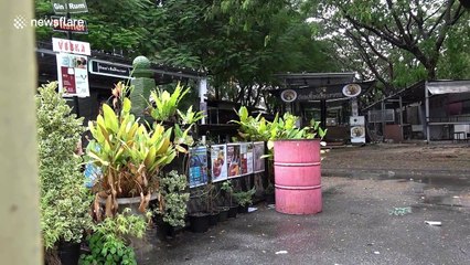 Once-popular tourist market abandoned in Thailand amid Covid-19 pandemic