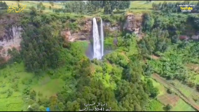 Surah Al Imran With Urdu Translation || Quran Only Urdu Tarjuma || Quran Status Video || Quran Urdu