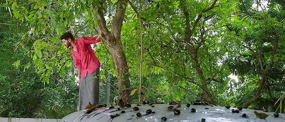 Oru Yamandan Prema Kadha (2019) Malayalam HDRip Movie Part 3