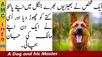 13 The owner took his dog to the forest, tied it to a tree and left it among the wolves