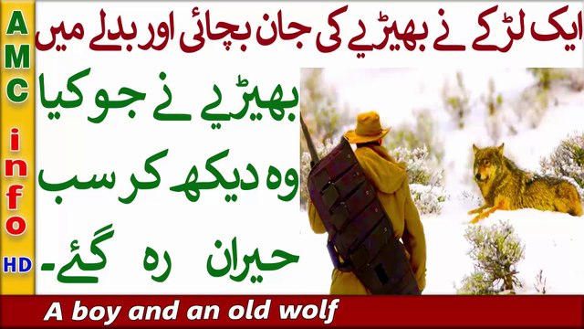 15 A man saved the wolf from the ravine, after some time the wolf changed his fate