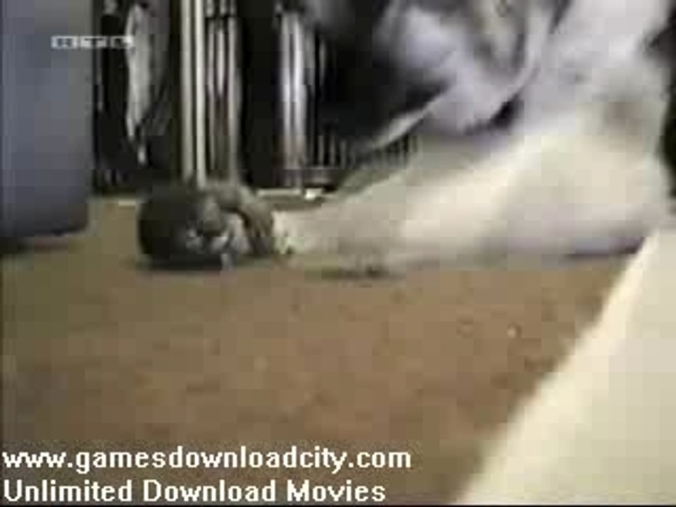 home video
