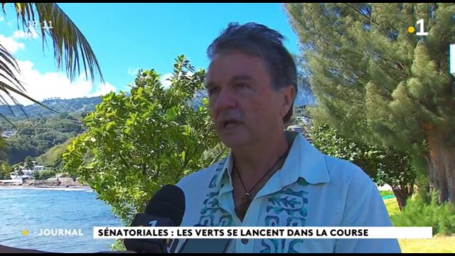 Sénatoriales : Heiura les verts veulent porter l'idéologie écologiste au plan national