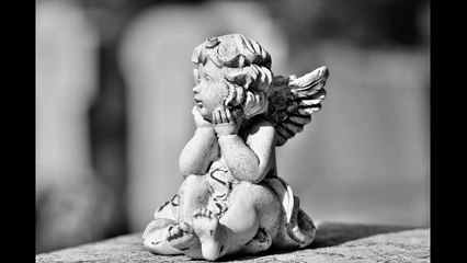 The American Housewife, Section 26: Chapter 26- The Art of Carving