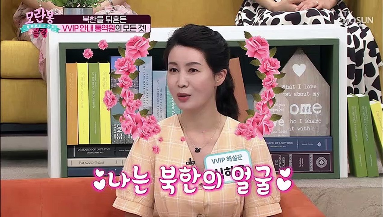 북한을 뒤흔든 ʚVVIP 해설꾼ɞ 안내 통역원↗