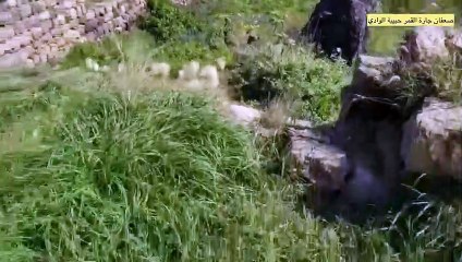 روعة الطبيعة و جمال المناظر الخلابة من اليمن صنعاء صعفان