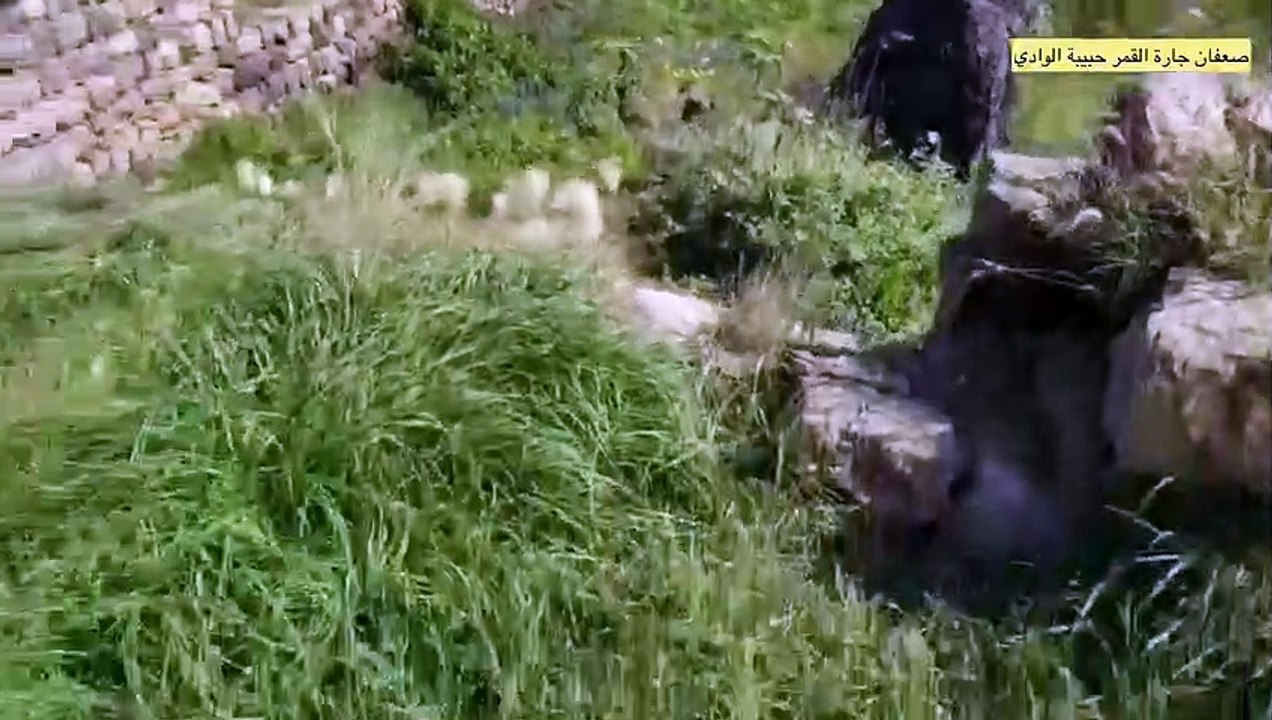 روعة الطبيعة و جمال المناظر الخلابة من اليمن صنعاء صعفان