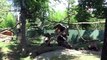 Bursa Hayvanat Bahçesi’nde devekuşu yavrusu sevinci yaşanıyor