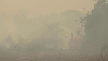 Los incendios en el Pantanal alcanzan niveles récord