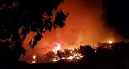 Ayvalık’ta orman yangını