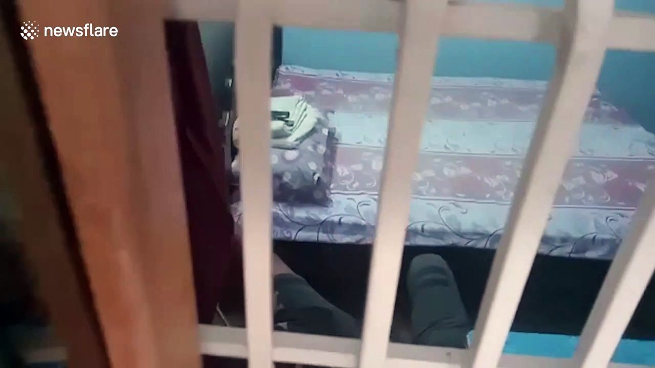 Bungling robber arrested after breaking into home and then falling asleep