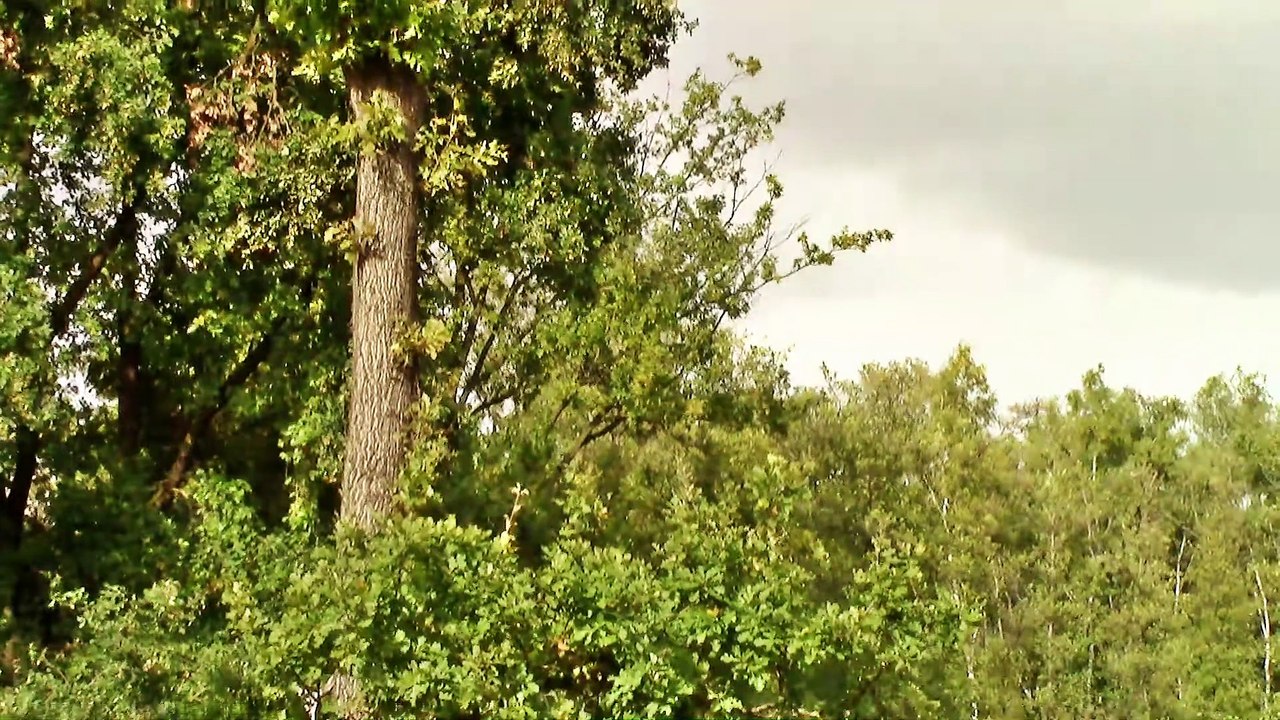 Planespotting KölnBonn Landen 32R – 4