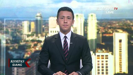 Puluhan Sukarelawan Beraksi Membersihkan Sampah di Pesisir Pantai