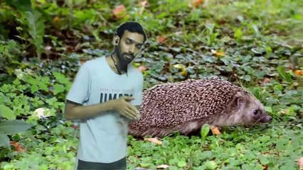 Everything You Need To Know About Coronavirus in Telugu | కరోనావైరస్ తెలుసుకోవలసిన ప్రతిదీ