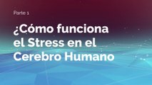 Cerebro Niños | Así Funciona | Parte 1