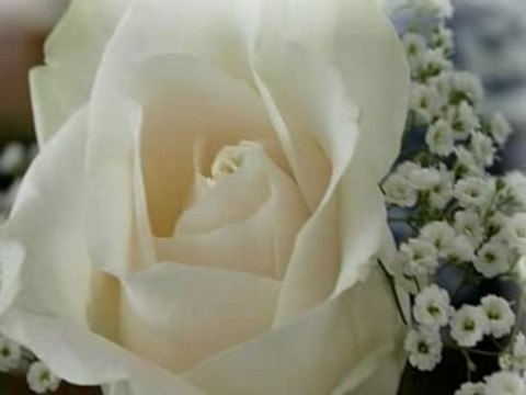 Stanislas le temps des roses