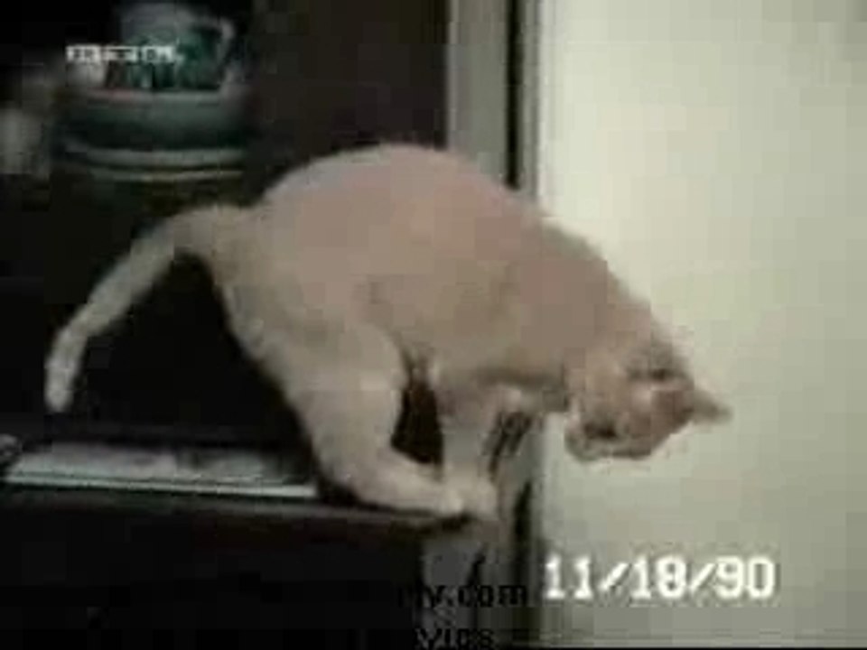 home video11