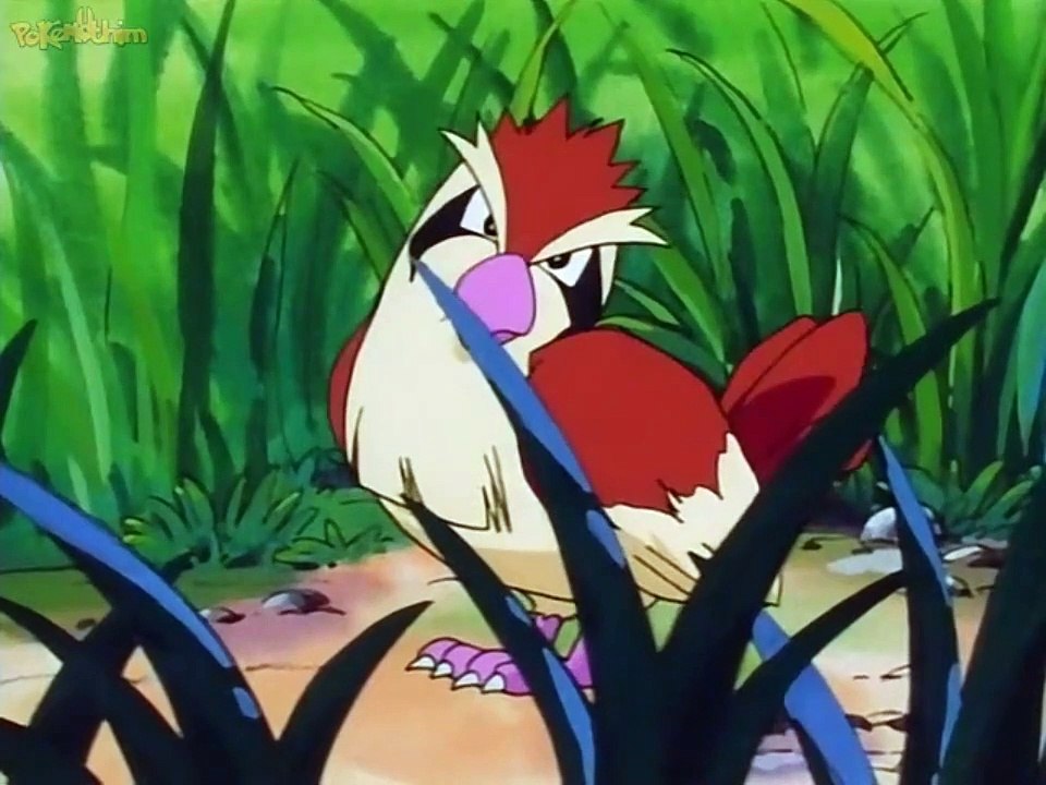 treinadores #2 capturar Pokémon