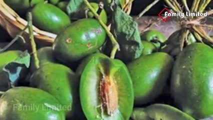 অপ্রয়োজনীয় ও খারাপ  কোলেস্টেরল শরীর থেকে দূর করবে যেসব খাবার !  রক্তের খারাপ কোলেস্টেরল দূর করার ঘরোয়া উপায় জেনে নিন  # AzadTechWorldPro   #