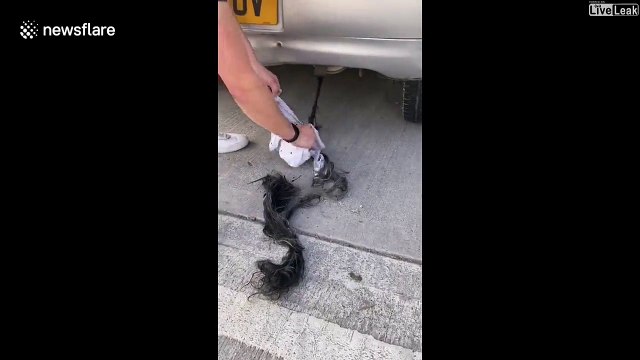 Ce qu'elle découvre dans son pot d'échappement est répugnant