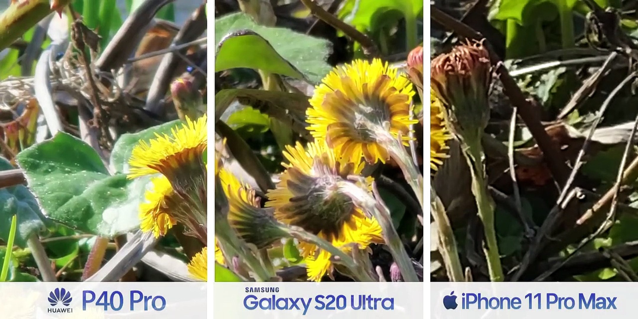 Huawei P40 Pro vs Samsung S20 Ultra vs iPhone 11 Pro Max Camera Test  Comparison! - video Dailymotion