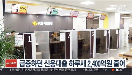 급증하던 신용대출…하루새 2천400억원 줄어