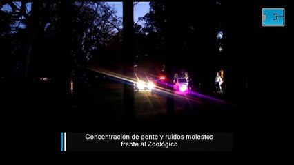 Concentración de gente y ruidos molestos frente al Zoológico