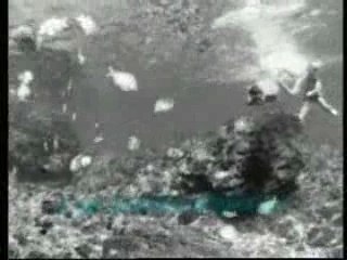 Eppure Soffia Liga Bue