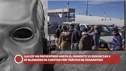 La UIF ha presentado 14 Denuncias y 37 BLOQUEOS de cuentas por Tráfico de MIGRANTES!