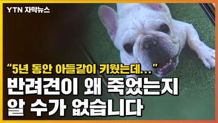 [자막뉴스] "5년 동안 키운 반려견이 왜 죽었는지 알 수가 없습니다" / YTN