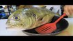 Ultimate TRASH Fish Taste Test! Jack Crevalle Catch and Cook!