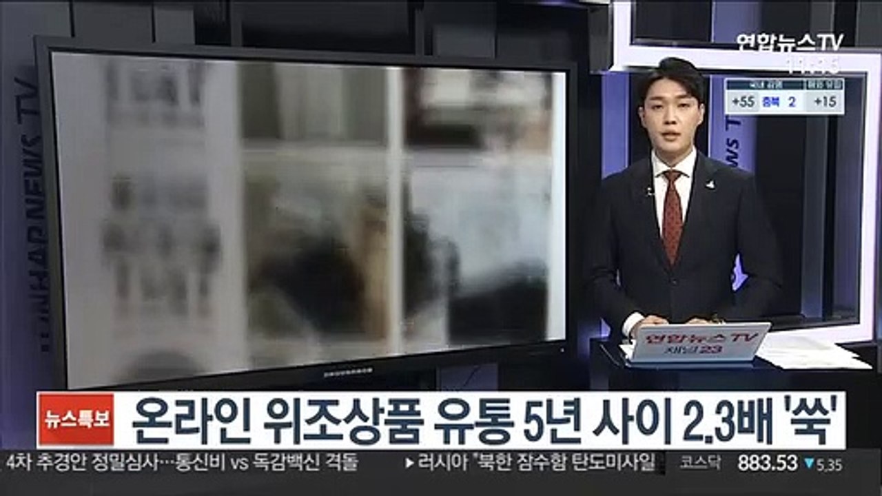 온라인 위조상품 유통 5년 사이 2.3배 '쑥'