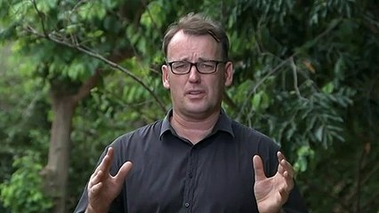 Stranded humpacks make it out of croc-infested river