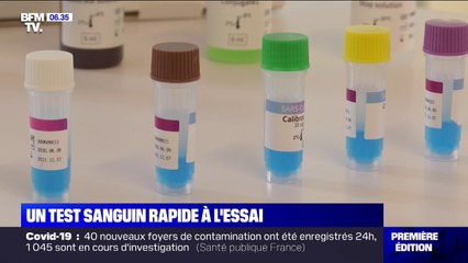 Covid-19: un nouveau test sanguin à l'étude pour quantifier l'infection