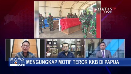 Apa Motif Teror KKB Di Papua? Ini Selengkapnya