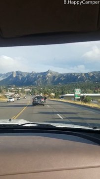 Huge Bull Elk Strolls Down the Street