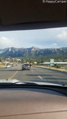 Huge Bull Elk Strolls Down the Street