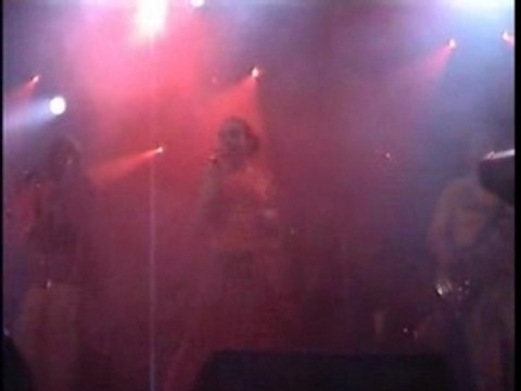 Tremplin festival des papillons de nuit 2007