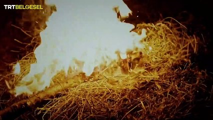 Sultan Alp Arsalan - Malazgirt 1071 - Bravery of the Turks