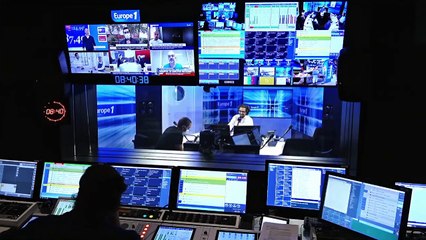 Le clonage d’arbre millénaire pour lutter contre le changement climatique