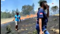 Akibat Puntung Rokok, Padang Sabana di Bondowoso Terbakar
