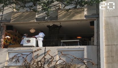 Un arbre pousse dans l'appart d'une drôle de famille à Nantes