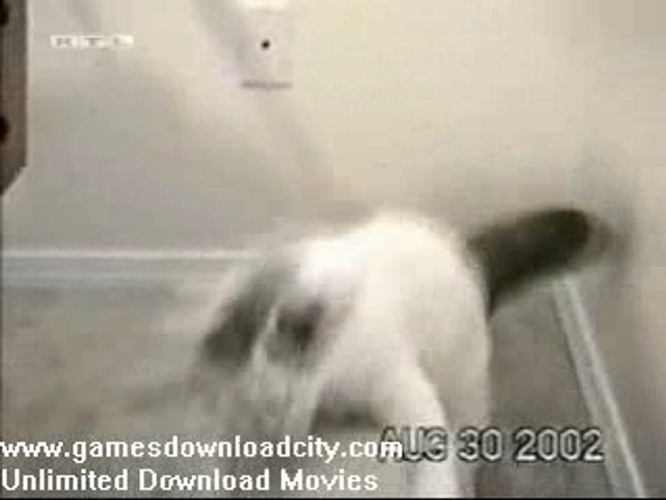 home video5